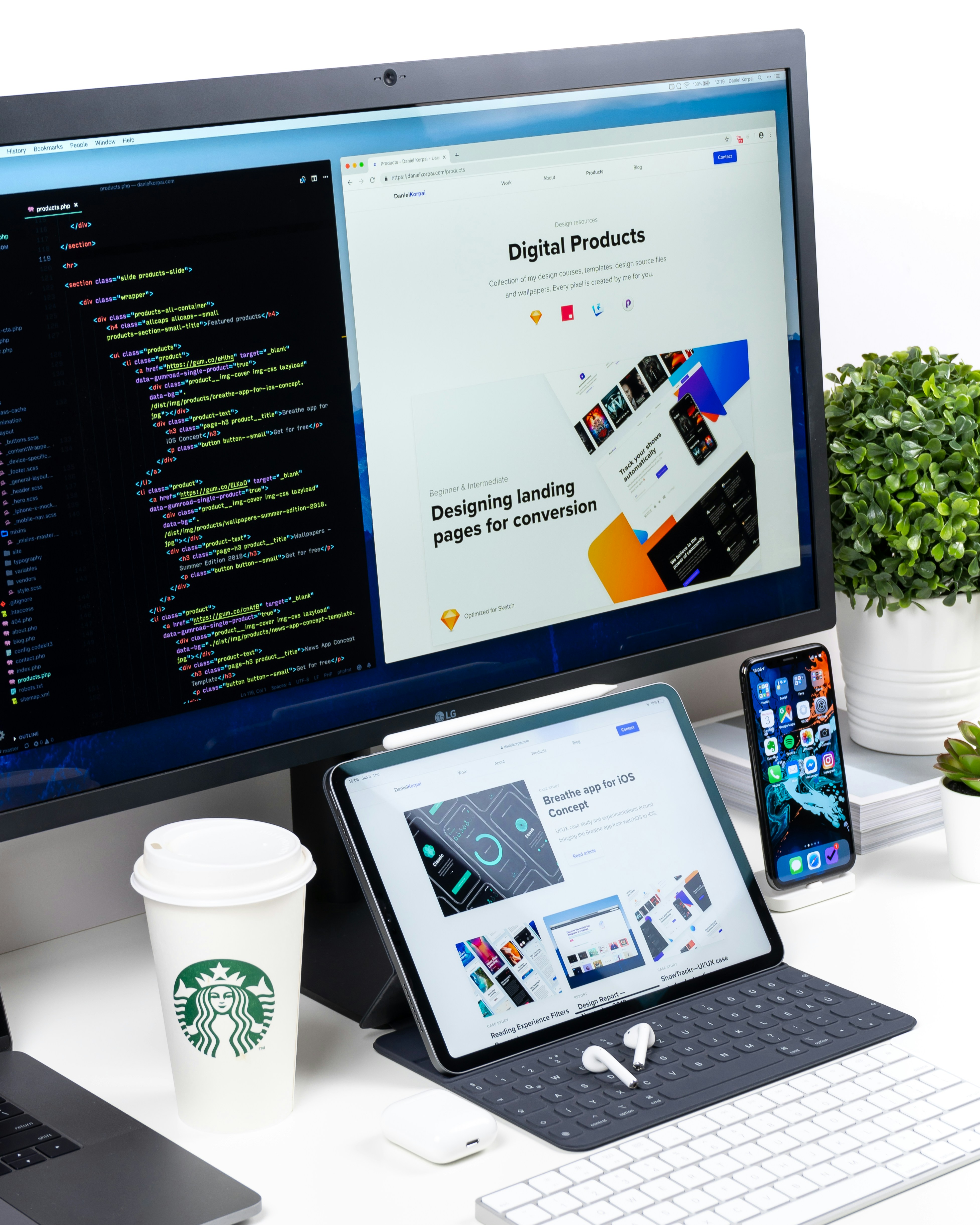 Developer